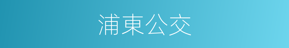 浦東公交的同義詞