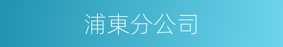 浦東分公司的同義詞