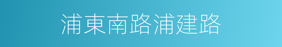 浦東南路浦建路的同義詞