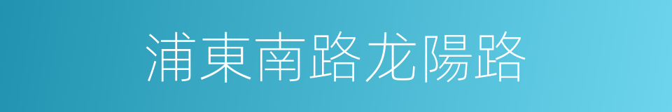 浦東南路龙陽路的同義詞