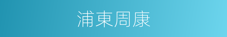 浦東周康的同義詞