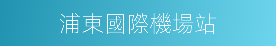 浦東國際機場站的同義詞