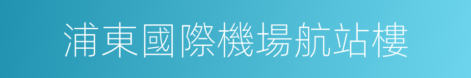 浦東國際機場航站樓的同義詞