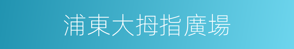 浦東大拇指廣場的同義詞