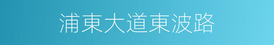 浦東大道東波路的同義詞