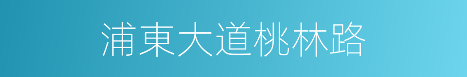 浦東大道桃林路的同義詞