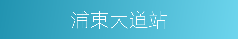 浦東大道站的同義詞