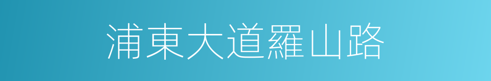 浦東大道羅山路的同義詞