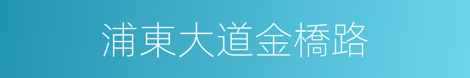 浦東大道金橋路的同義詞