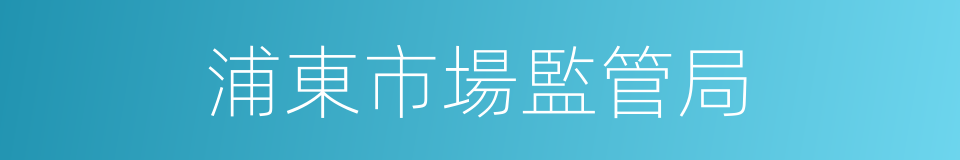 浦東市場監管局的同義詞