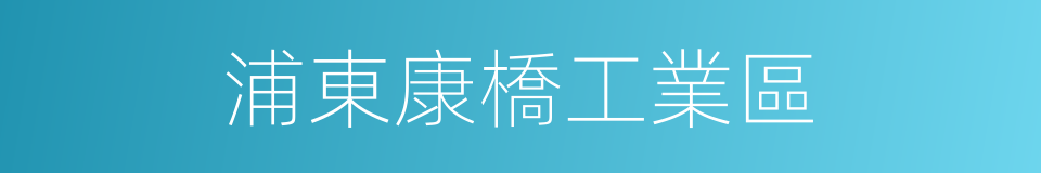 浦東康橋工業區的同義詞