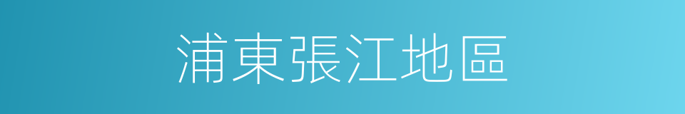 浦東張江地區的同義詞