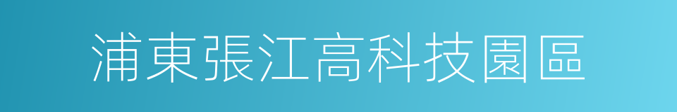 浦東張江高科技園區的同義詞