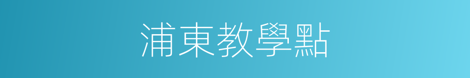 浦東教學點的同義詞