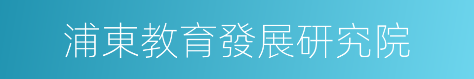 浦東教育發展研究院的同義詞