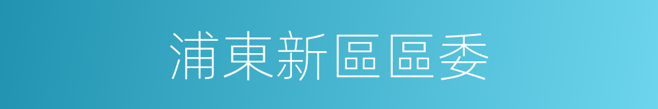浦東新區區委的同義詞