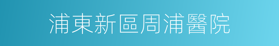 浦東新區周浦醫院的同義詞