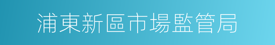 浦東新區市場監管局的同義詞
