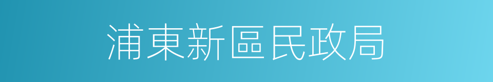 浦東新區民政局的同義詞