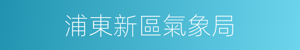 浦東新區氣象局的同義詞