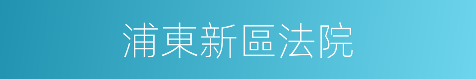 浦東新區法院的同義詞