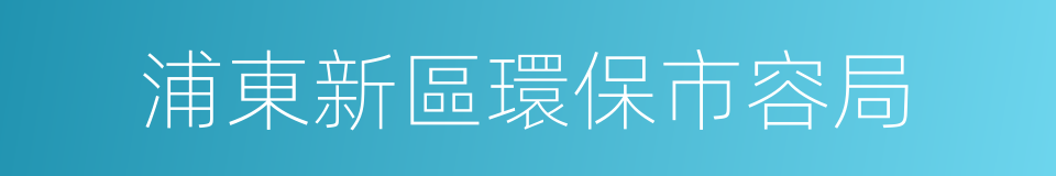 浦東新區環保市容局的同義詞