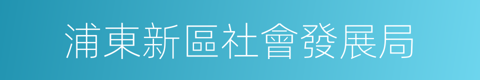 浦東新區社會發展局的同義詞