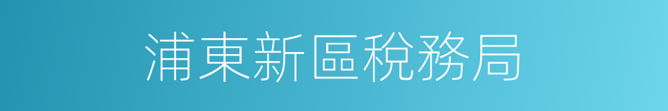 浦東新區稅務局的同義詞