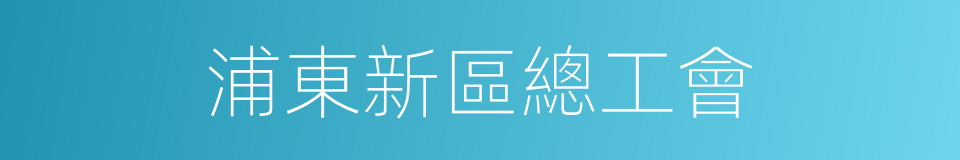 浦東新區總工會的同義詞