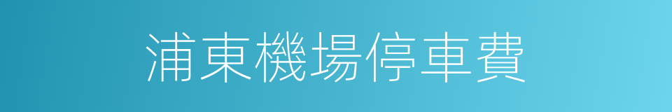 浦東機場停車費的同義詞