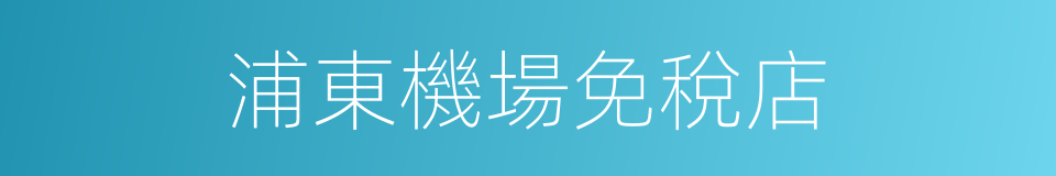 浦東機場免稅店的同義詞