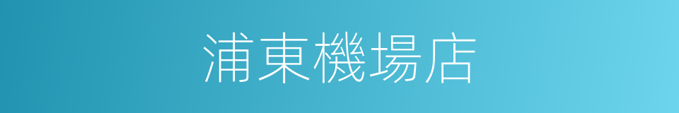 浦東機場店的同義詞