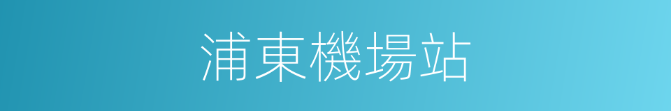 浦東機場站的同義詞