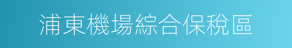 浦東機場綜合保稅區的同義詞