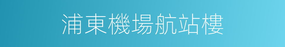 浦東機場航站樓的同義詞