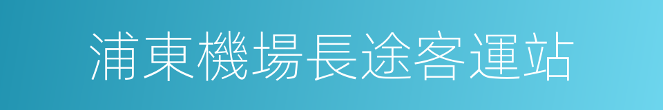 浦東機場長途客運站的同義詞