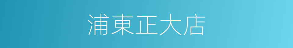 浦東正大店的同義詞