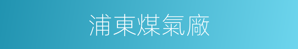 浦東煤氣廠的同義詞