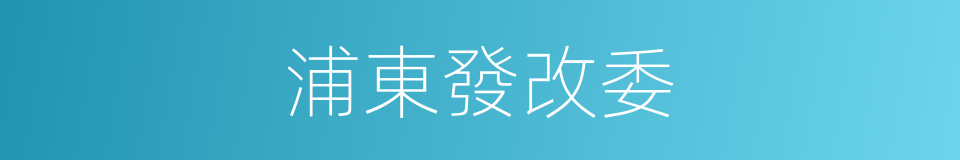 浦東發改委的同義詞