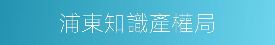 浦東知識產權局的同義詞