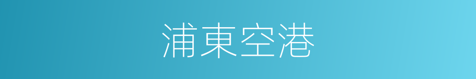 浦東空港的同義詞