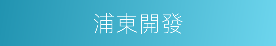 浦東開發的同義詞