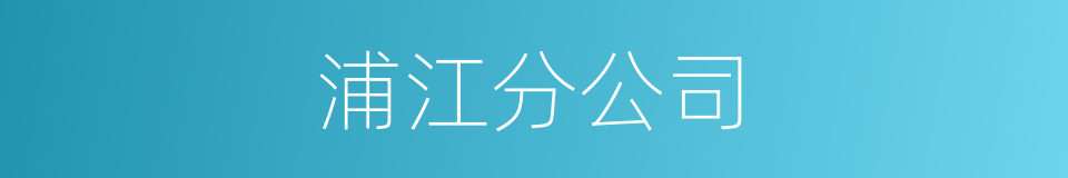 浦江分公司的同义词