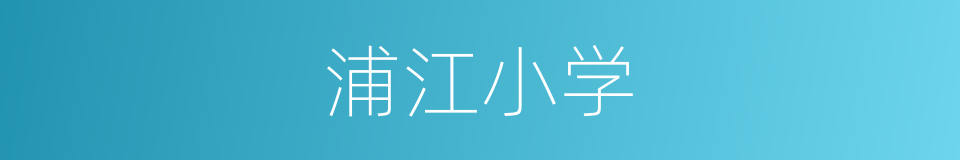 浦江小学的同义词