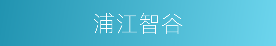 浦江智谷的同义词