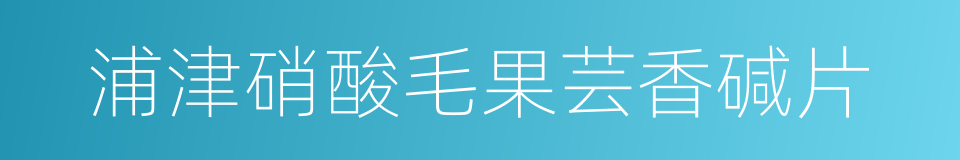 浦津硝酸毛果芸香碱片的同义词