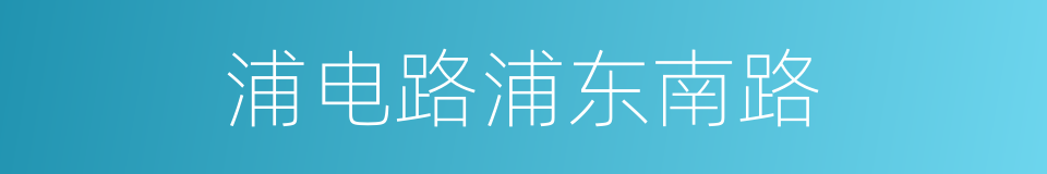 浦电路浦东南路的同义词