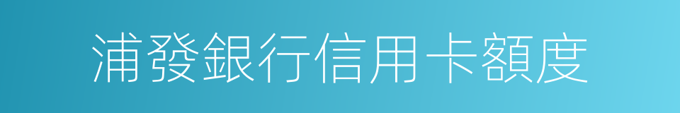 浦發銀行信用卡額度的同義詞