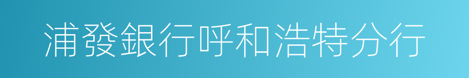 浦發銀行呼和浩特分行的同義詞