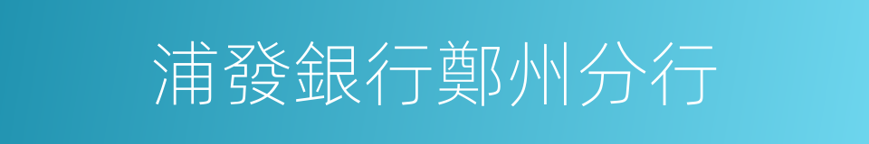 浦發銀行鄭州分行的同義詞